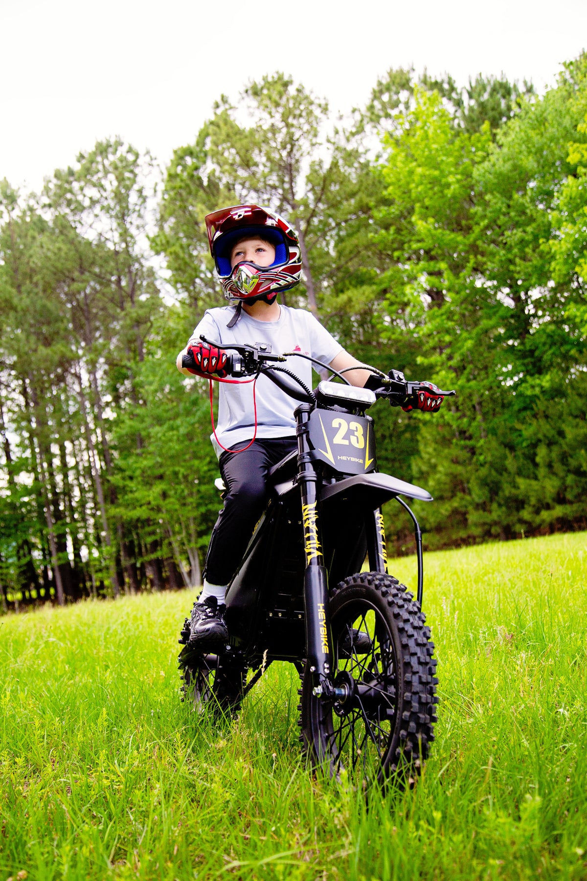 HeyBikeVillain_26