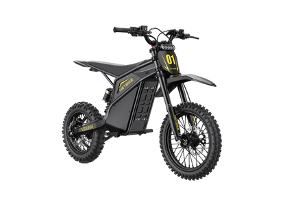 Heybike Villain Combo