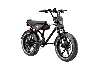 Heybike Titan