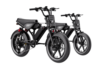Heybike Titan 2-Pack Electric Bike Bundle