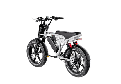 Heybike Titan
