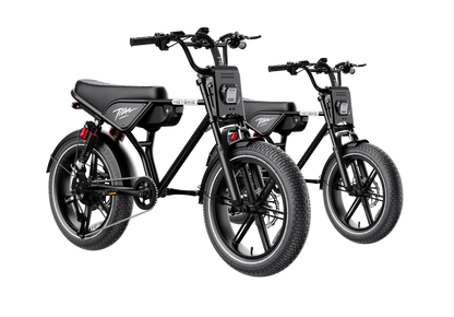 Heybike Titan 2-Pack Electric Bike Bundle
