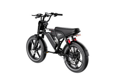 Heybike Titan