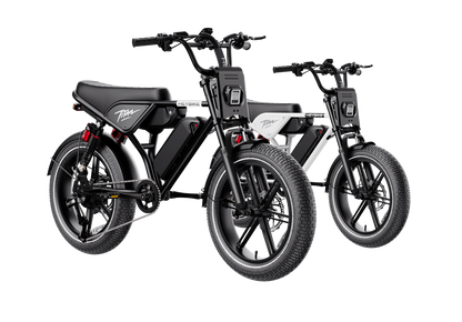 Heybike Titan 2-Pack Electric Bike Bundle