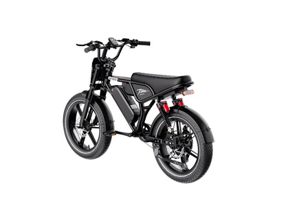 Heybike Titan