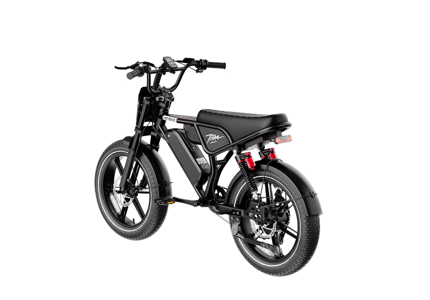 Heybike Titan