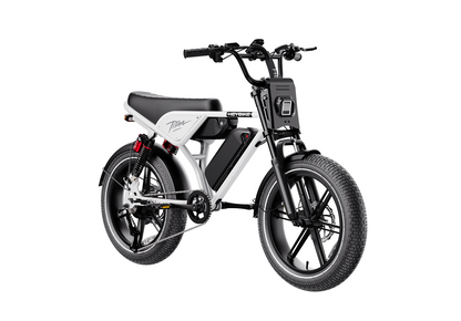 Heybike Titan