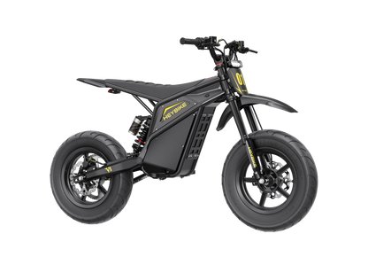 Heybike V1 E-Dirt Bike + Supermoto Tire Set