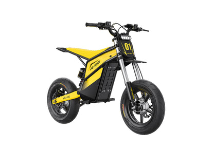 Heybike Villain Classic with Supermoto street tires