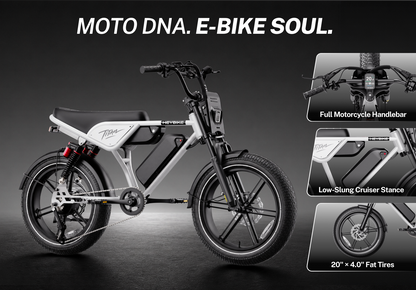 Heybike Titan
