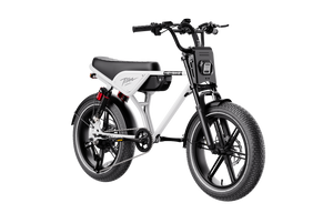 Heybike Titan
