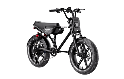 Heybike Titan