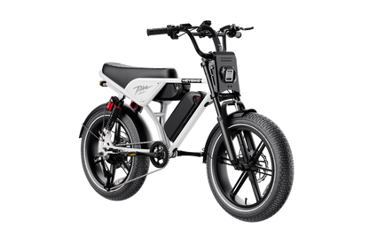 Heybike Titan
