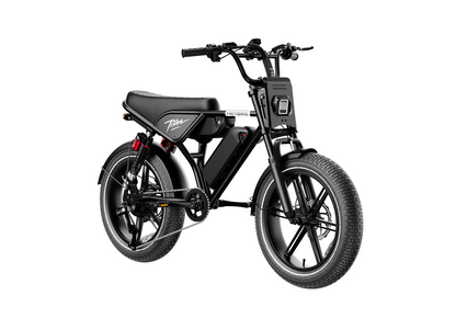 Heybike Titan