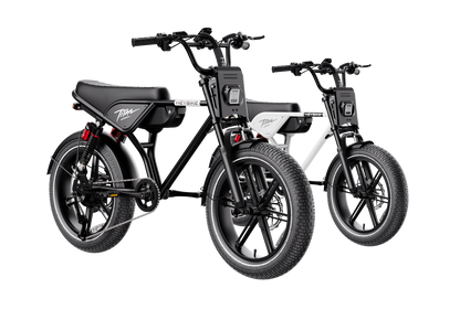 Heybike Titan 2-Pack Electric Bike Bundle