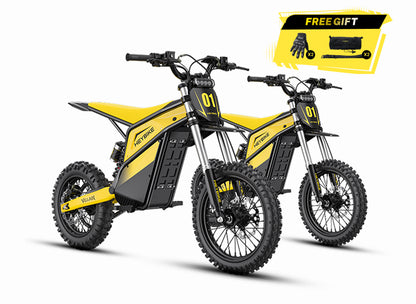 Heybike Villain Combo